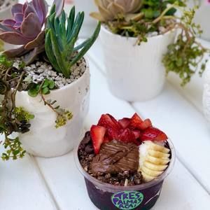 Meet your Posher, Wyatt